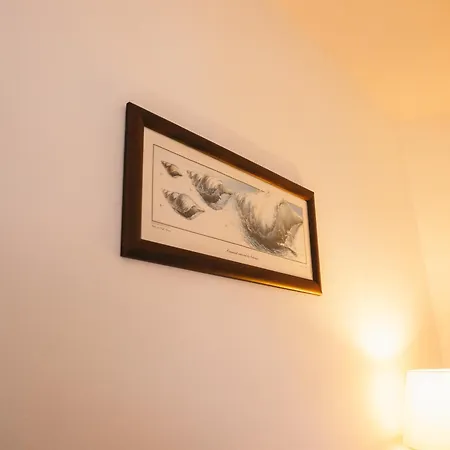 Farm stay Costanova Surfhouse Ilhavo