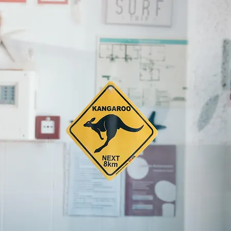 Costanova Surfhouse Ílhavo