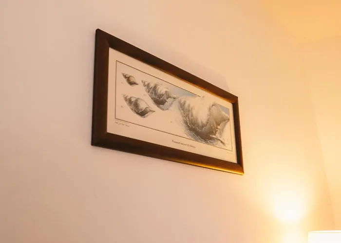 Alloggio per agriturismo Costanova Surfhouse Ílhavo