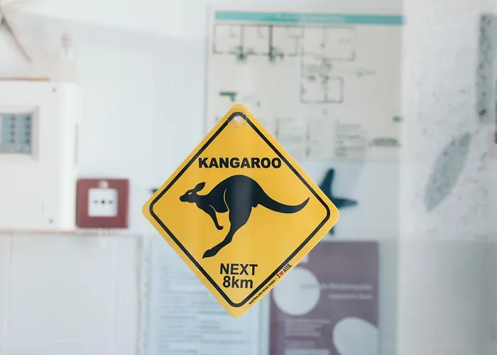 Costanova Surfhouse Ílhavo