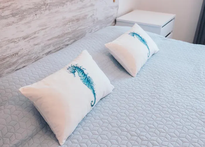 Costanova Surfhouse Ílhavo